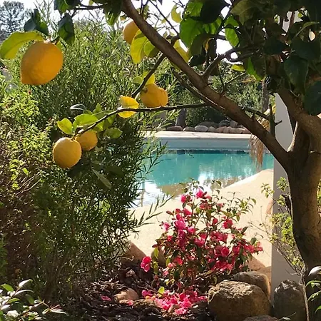 L'hacienda Piscine Chauffee A 28, Spa, Boulodrome Et Court De Tennis Prives, 2 Independantes