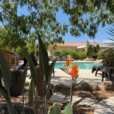 L'hacienda Piscine Chauffee A 28, Spa, Boulodrome Et Court De Tennis Prives, 2 Independantes Βίλα