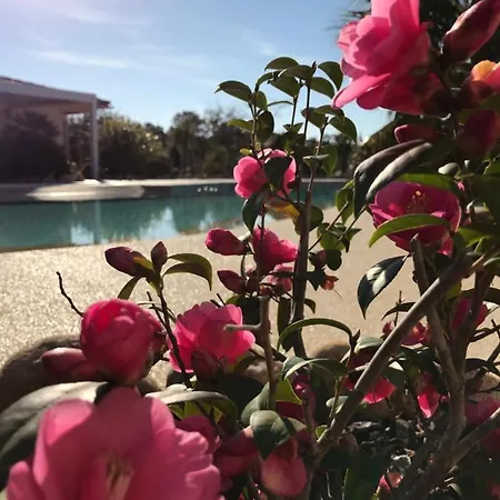 L'hacienda Piscine Chauffée à 28, Spa, Boulodrome Et Court De Tennis Privés, 2 Indépendantes *