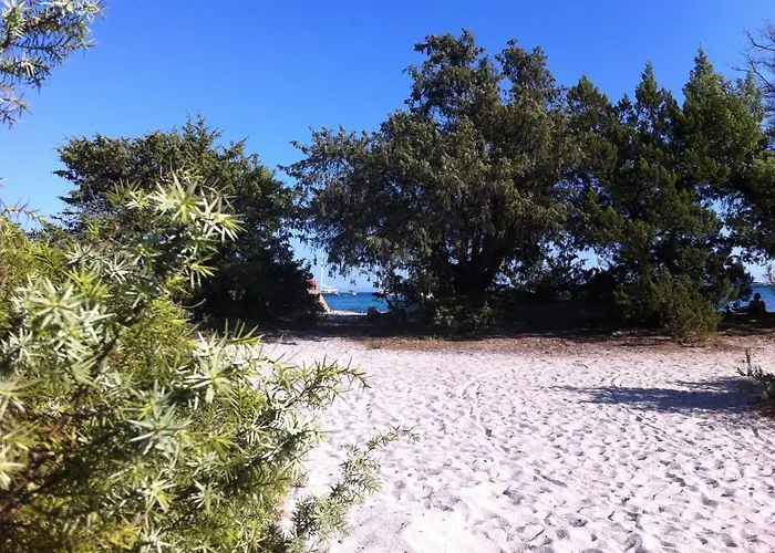 Villa L'hacienda Piscine Chauffee A 28, Spa, Boulodrome Et Court De Tennis Prives, 2 Independantes