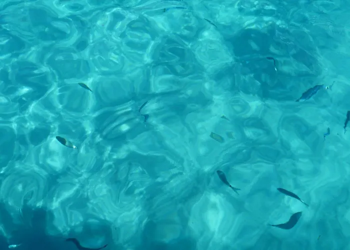 Vila L'hacienda Piscine Chauffee A 28, Spa, Boulodrome Et Court De Tennis Prives, 2 Independantes