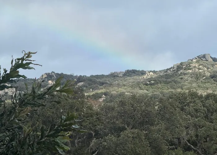 Vila L'hacienda Piscine Chauffee A 28, Spa, Boulodrome Et Court De Tennis Prives, 2 Independantes Porto-Vecchio (Corsica)